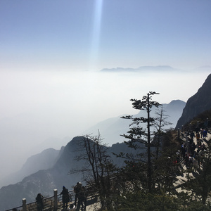 黑人男女交配一区
